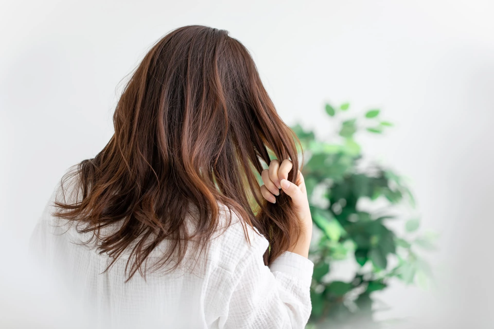 AdobeStock_317672820